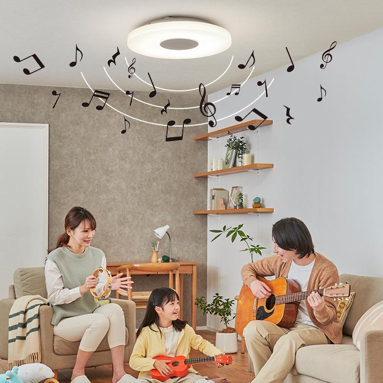 IRIS OHYAMA（アイリスオーヤマ） シーリングライト LED 12畳