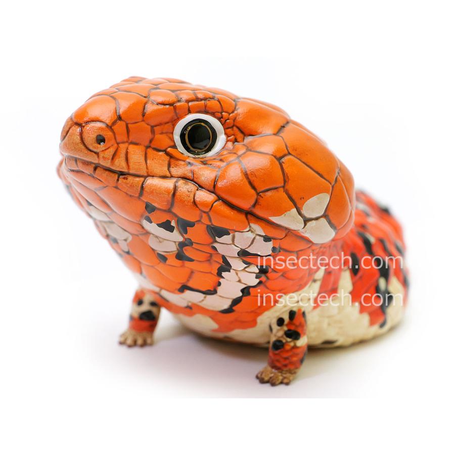 動物の惑星】ニシマツカサトカゲ フィギュア : インセクテック動物の