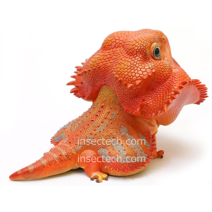 動物の惑星】フトアゴヒゲトカゲ（レッド）フィギュア