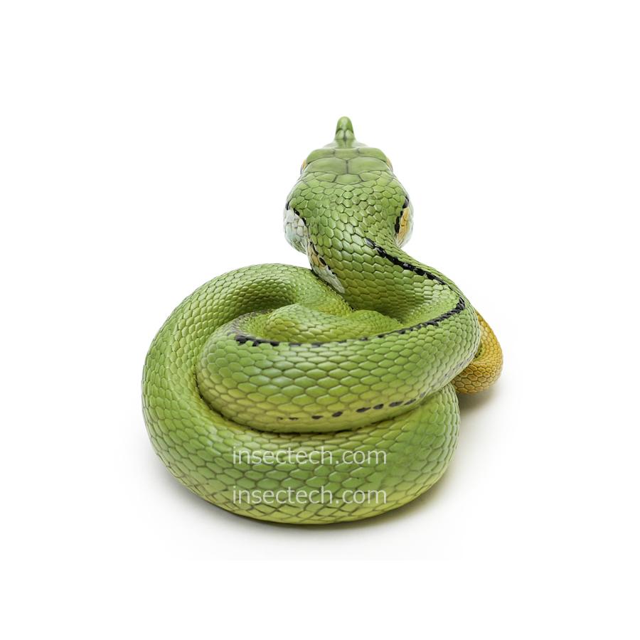 動物の惑星】バロンコダマヘビ フィギュア : インセクテック動物の惑星