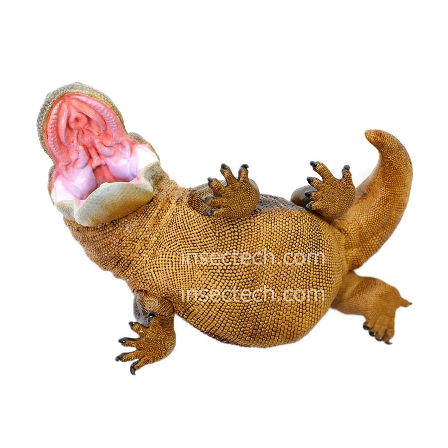 動物の惑星】コモドドラゴン フィギュア : インセクテック動物の惑星
