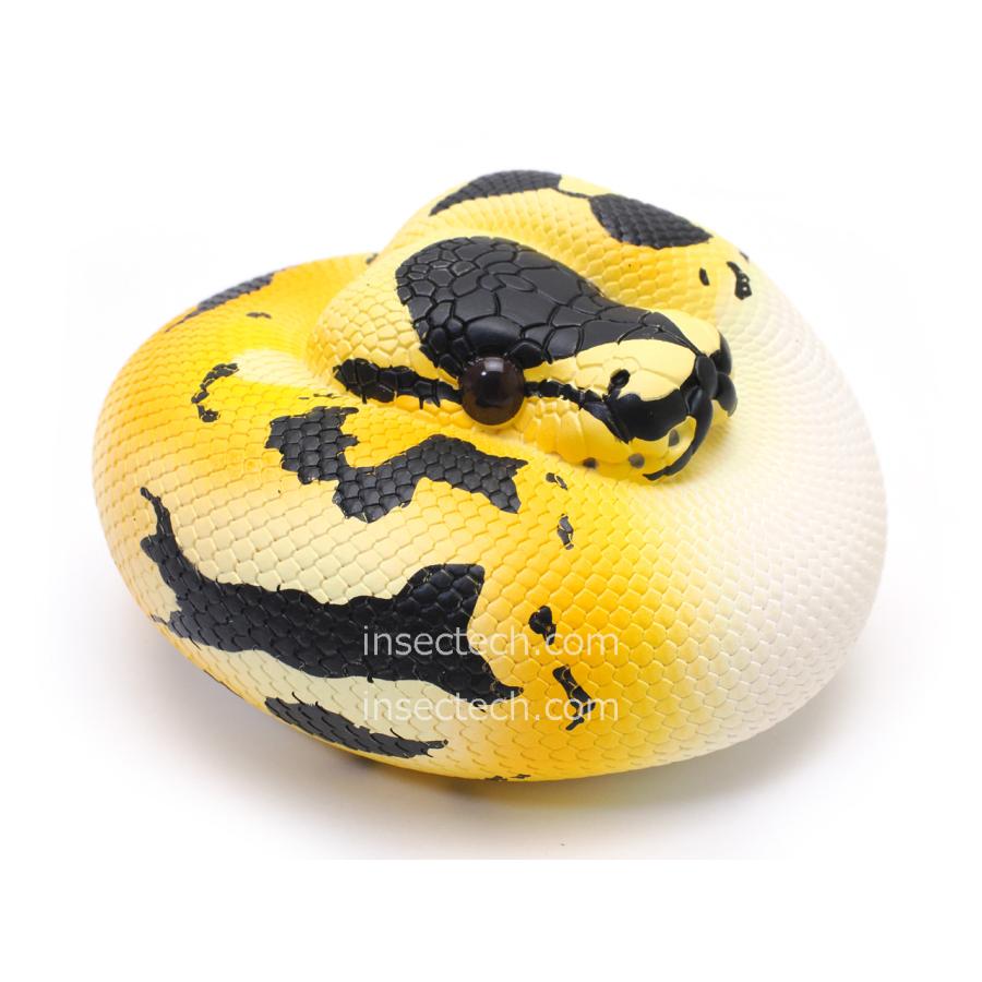 動物の惑星】ボールパイソン（パイボールド）フィギュア