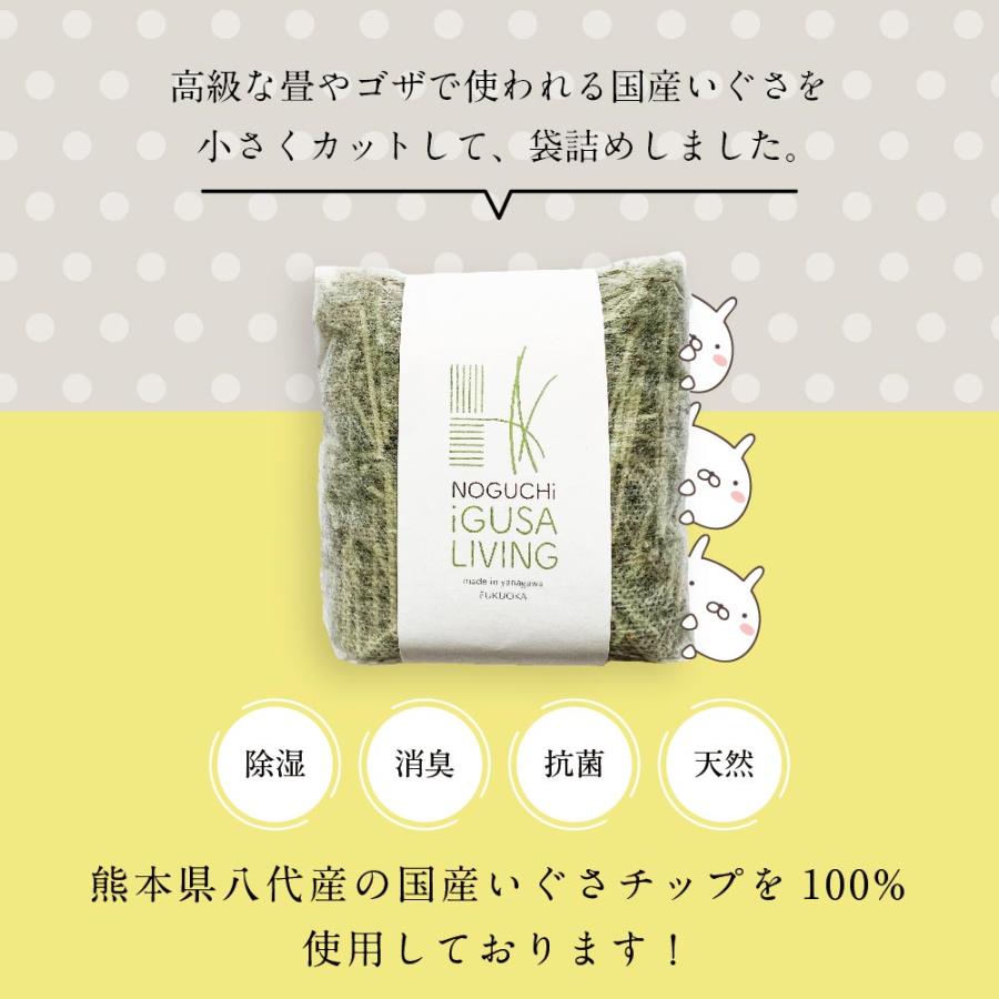いぐさ消臭パック 6個入 消臭剤 脱臭 湿気対策 天然素材の芳香剤 国産
