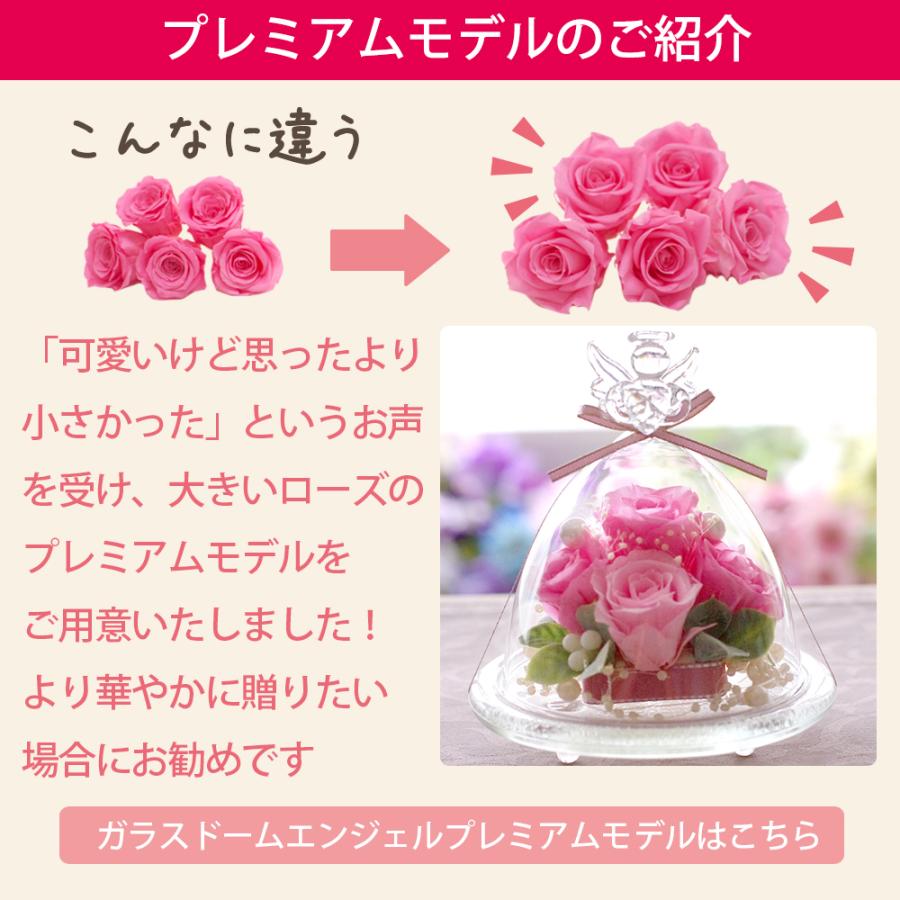 プリザーブドフラワーIPFA プリザーブドフラワー ガラスドーム