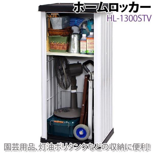 IRIS OHYAMA（アイリスオーヤマ） 物置 屋外 小型 2段 収納 おしゃれ