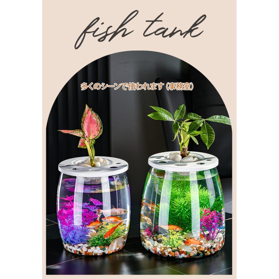 金魚鉢 丸型金魚鉢 水槽 オールインワン水槽 飼育水槽 メダカ メダカ鉢