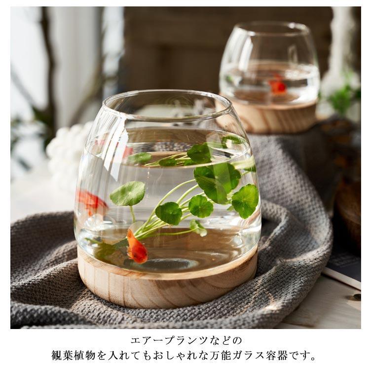 水槽 金魚鉢 ガラス製 天然木 丸型 メダカ鉢 透明 クリア 鉢 多機能