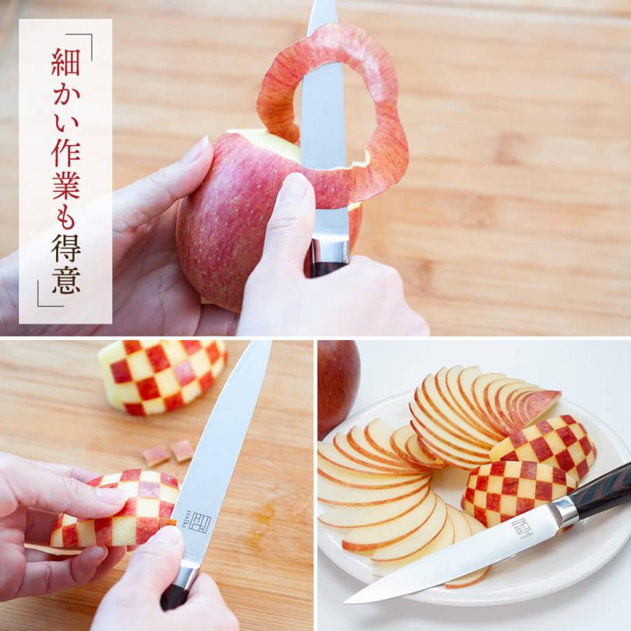 issiki 包丁 ペティナイフ 12cm ISSIKI 送料無料 ステンレス 小さい