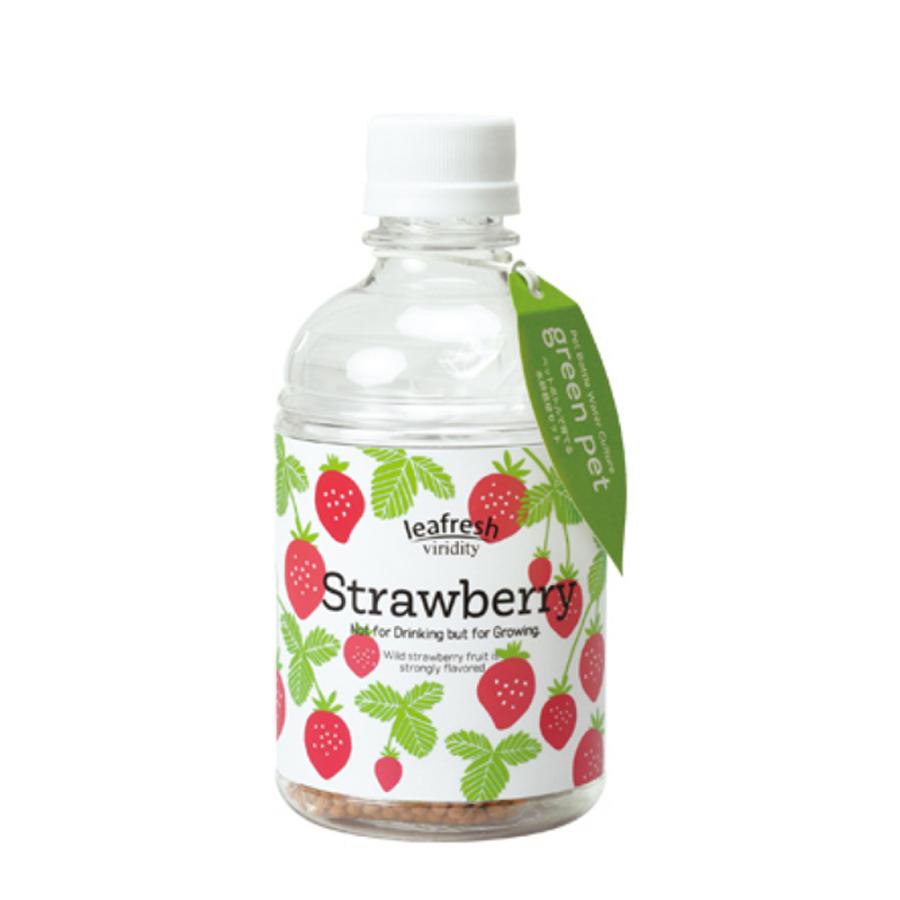 ITANSE 育てるグリーンペット ワイルドストロベリー ペットボトルで