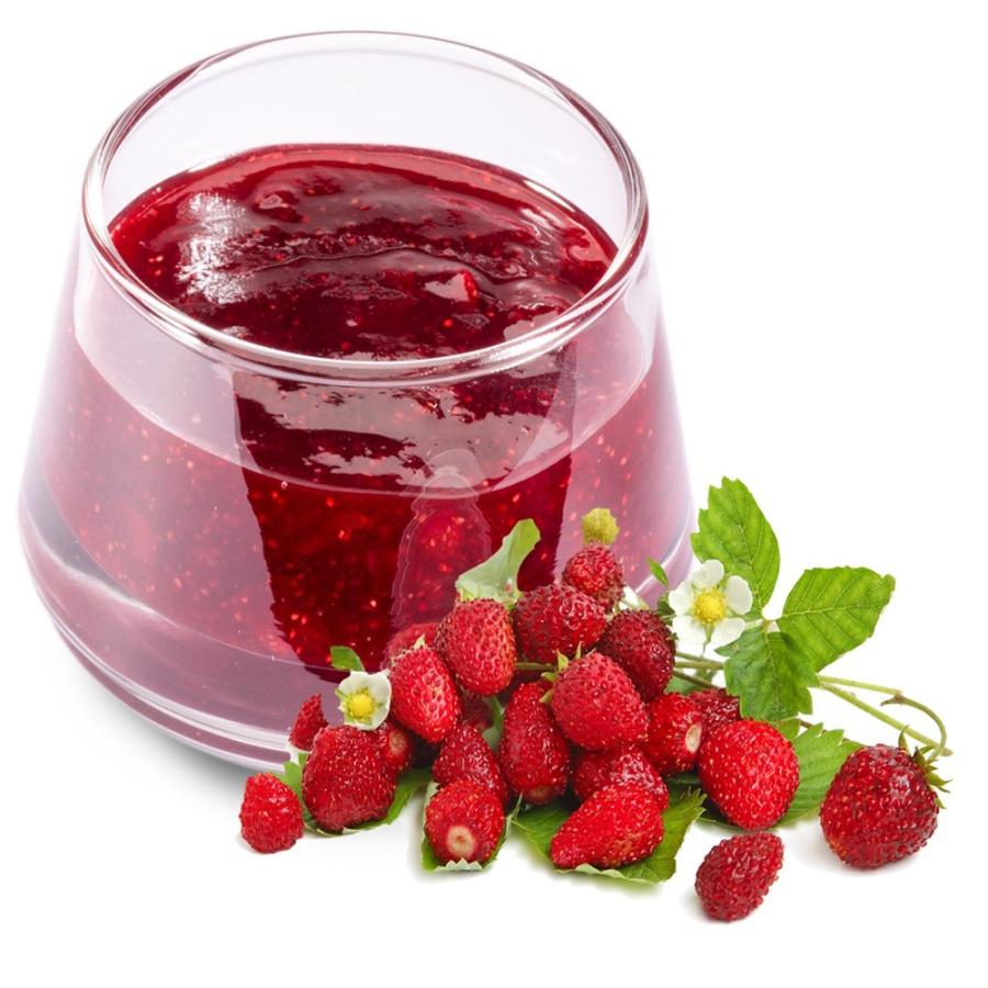 ITANSE 育てるグリーンペット ワイルドストロベリー ペットボトルで