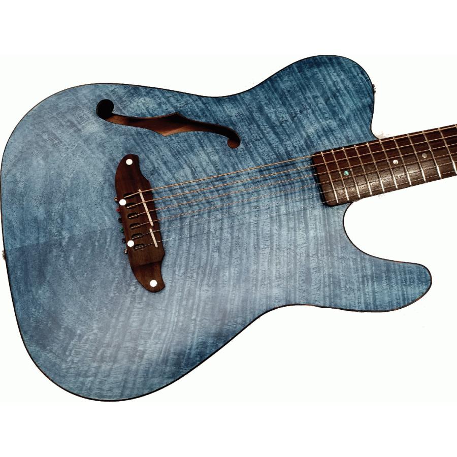 Schecter / OL-FL SSTB -数量限定モデル- : 伊藤楽器 松戸店 - 通販