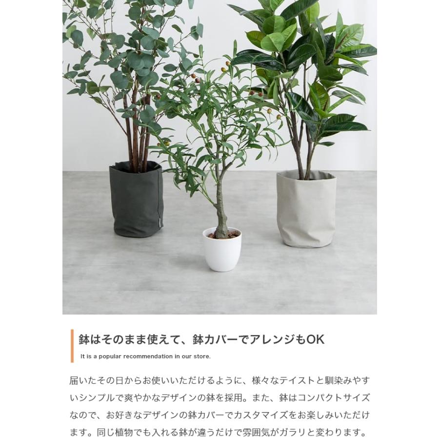 光触媒 人工観葉植物 パキラ 高さ90cm フェイクグリーン 消臭 抗菌