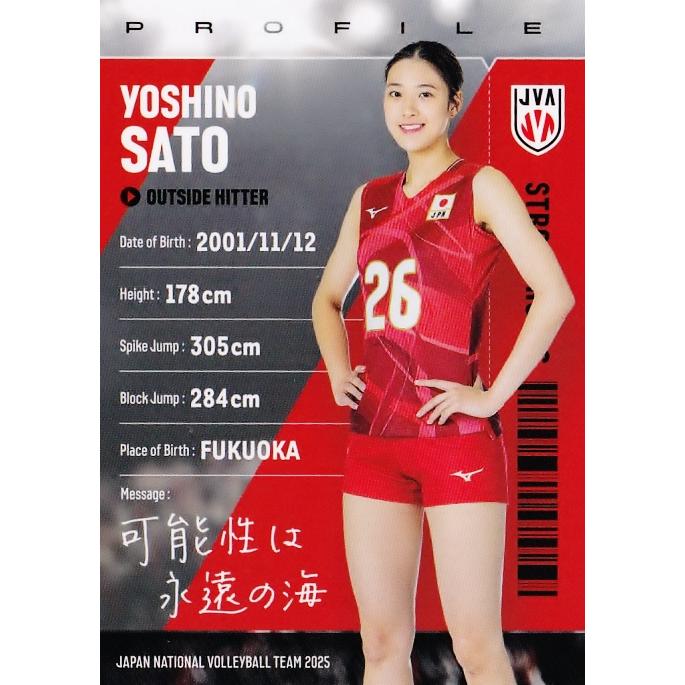 81 【佐藤淑乃】2025 バレーボール女子日本代表 トレーディングカード