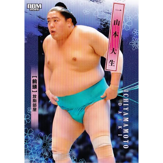 22 【一山本 大生】BBM2026 大相撲カード レギュラー : スポーツカード