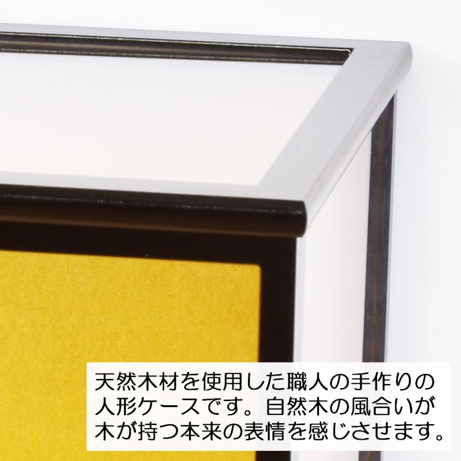 人形ケース ガラス人形ケース 幅 間口45奥行25高30cm(ガラス寸法）内