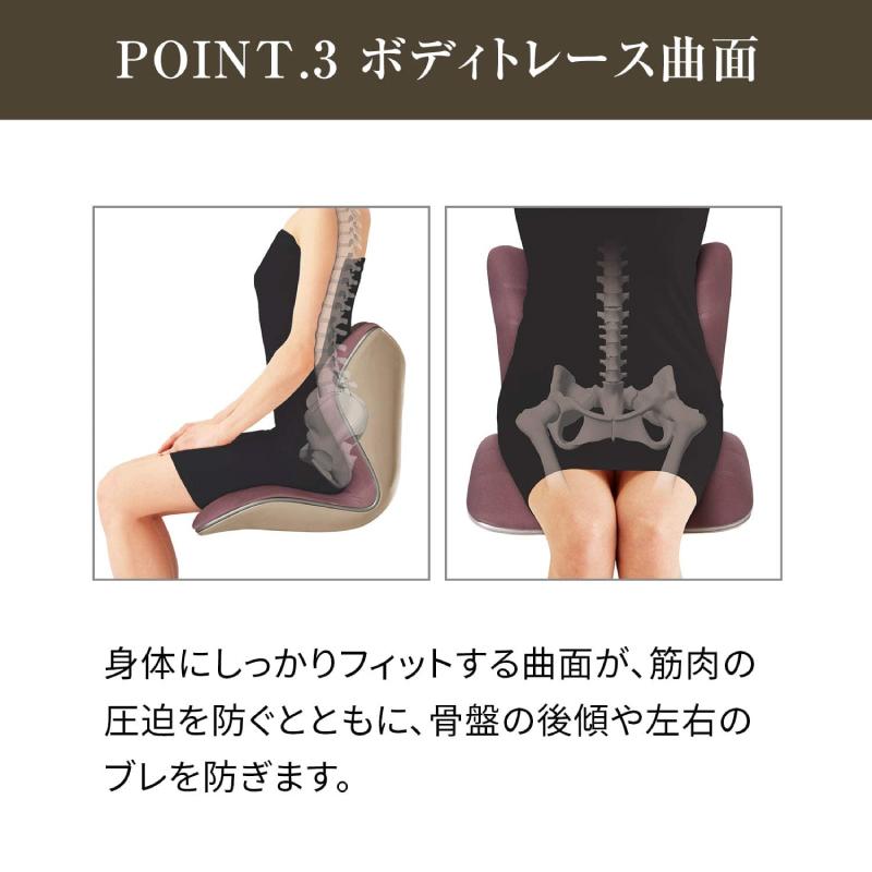 Style（スタイル） 姿勢ケアシート Style PREMIUM プレミアム MTG 骨盤