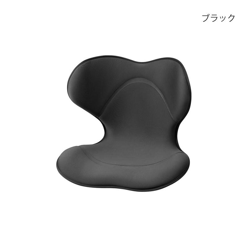 Style（スタイル） 姿勢ケアシート スマート MTG Style Smart 骨盤矯正
