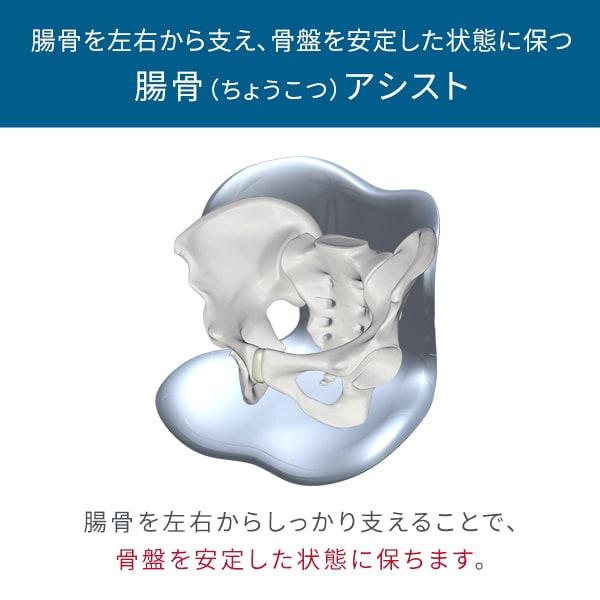 Style（スタイル） 姿勢ケアシート スマート MTG Style Smart 骨盤矯正