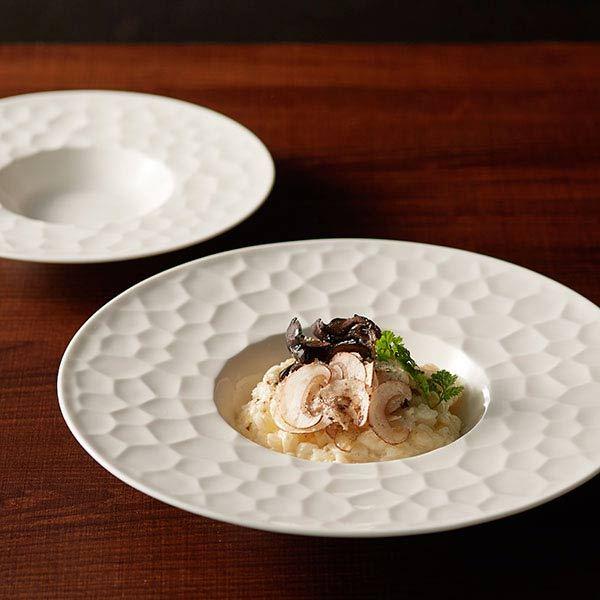 ノリタケ プロユース CONJUNTO コンジュント 21cm ディッププレート