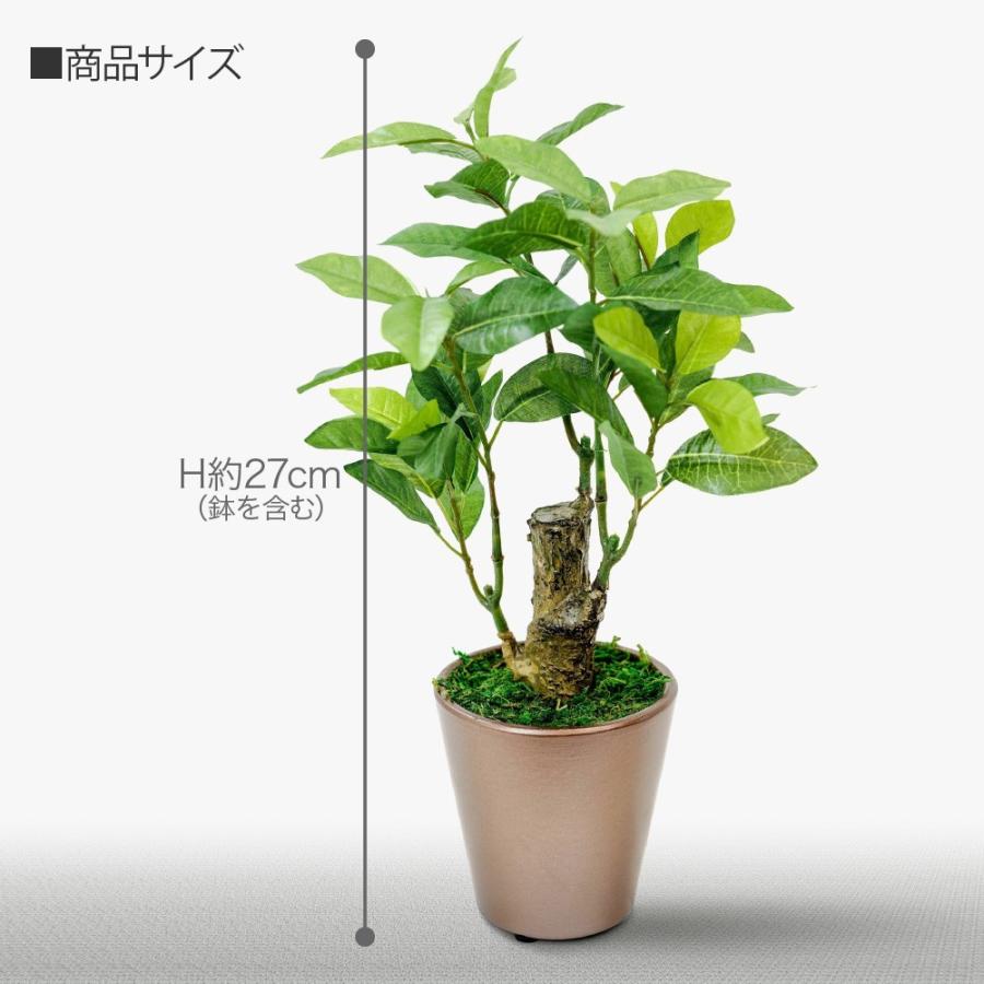 神戸花物語 フェイクグリーン 観葉植物 人工観葉 卓上 ミニ 小さい