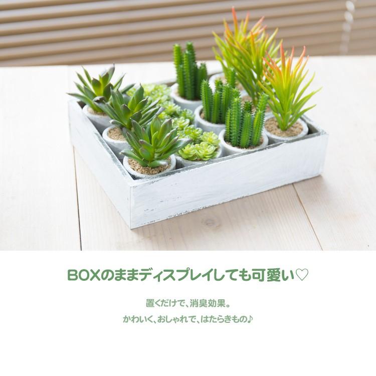 神戸花物語 フェイクグリーン 観葉植物 人工観葉 卓上 ミニ 小さい