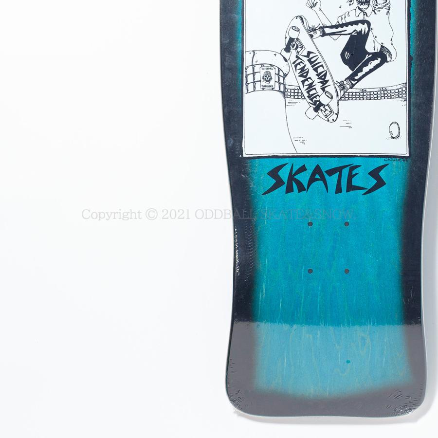 DOGTOWN（ドッグタウン） SUICIDAL SKATES POOL SKATER REISSUE BLUE