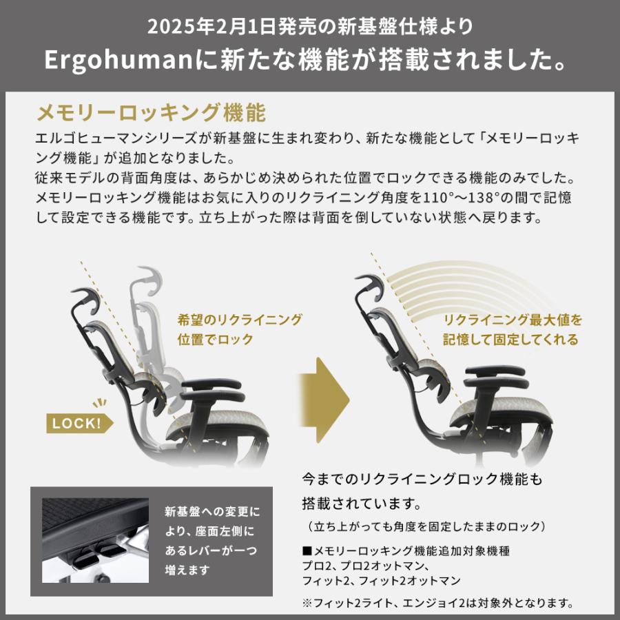 エルゴヒューマン（Ergohuman） フィット2 限定モデル・メーカー組立済