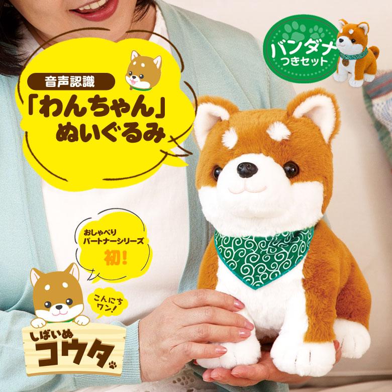 しばいぬコウタ バンダナ付きセット しばいぬこうた 音声認識