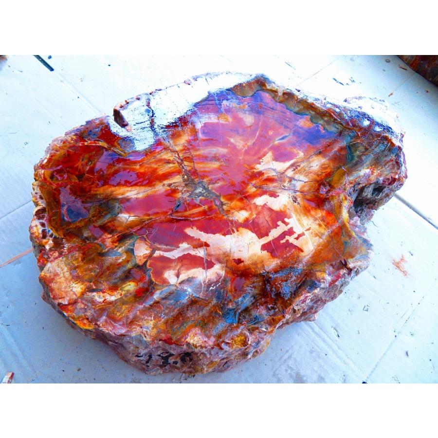 自然木の置物 高さ約30cm23kg 見た目も美しい天然木石の珪化木です