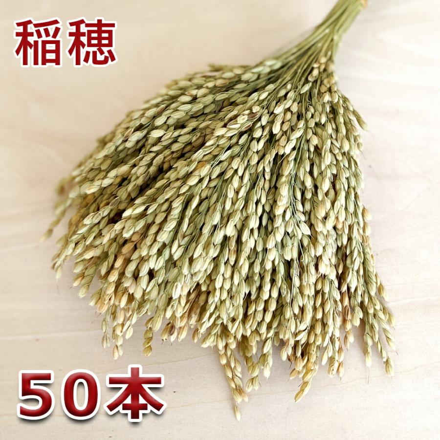 秀〆（HIDESHIME） 稲穂 5本入り×10セット 爆買 : 正月飾り しめ縄