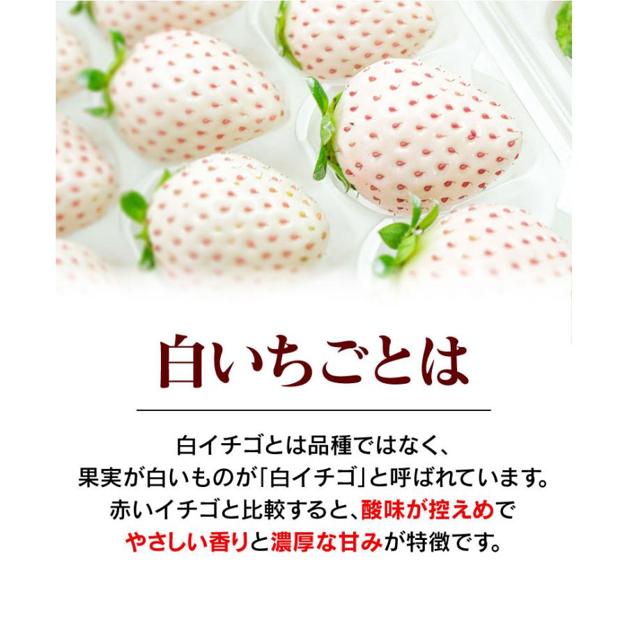 苺中②確認用（パールがホワイト）sa様専用