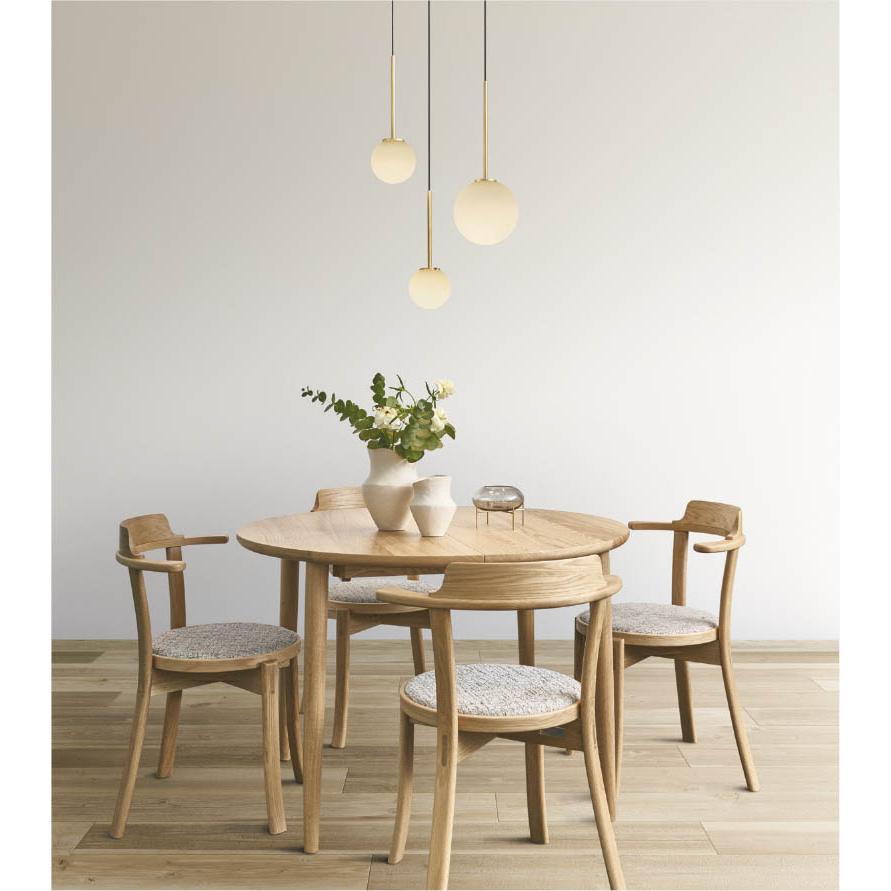 KOIZUMI（コイズミ） AP54893 ペンダントライト LED交換不可 非調光