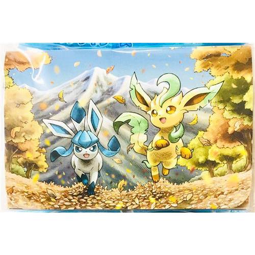 ポケットモンスター ポケモンカードゲーム ダブルデッキケース