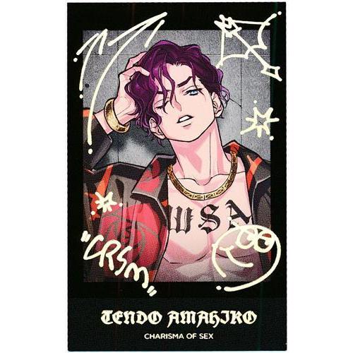 カリスマ トレーディングチェキ風カード Vol.2 天堂天彦 B