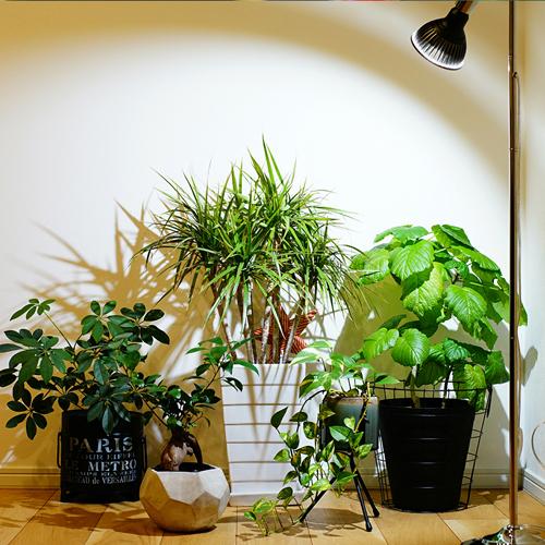 BARREL(バレル) AMATERAS(アマテラス) LED 10W 植物育成灯