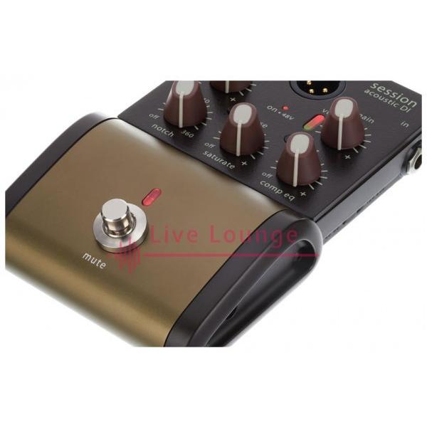 L.R.Baggs SESSION ACOUSTIC D.I ◇アコースティックギター用