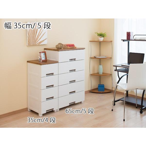 Fits チェスト フィッツプラス メッシュ 幅35×奥行41×高さ105cm FM3505