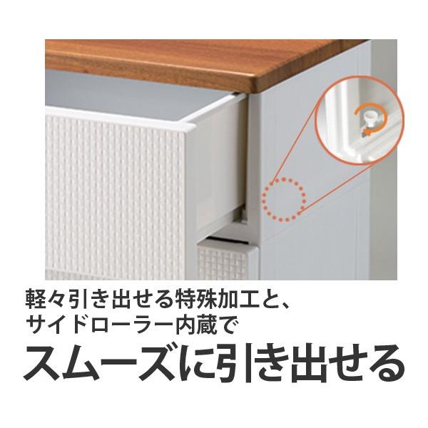 Fits チェスト フィッツプラス メッシュ 幅35×奥行41×高さ105cm FM3505