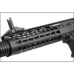 G&G G&G ARMAMENT GC16 Wild Hog 9