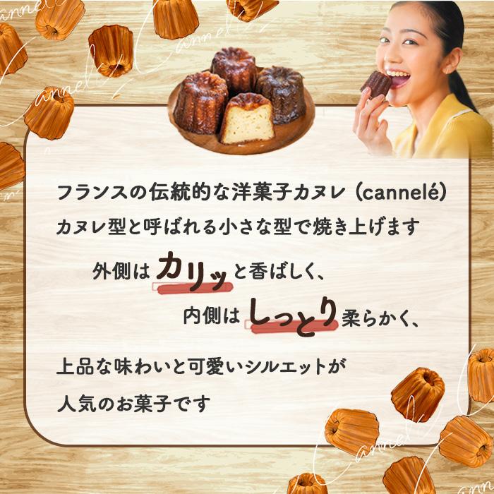 霜鳥製作所 カヌレ型 カヌレ焼型 D-076 日本製 10個セット ブラック