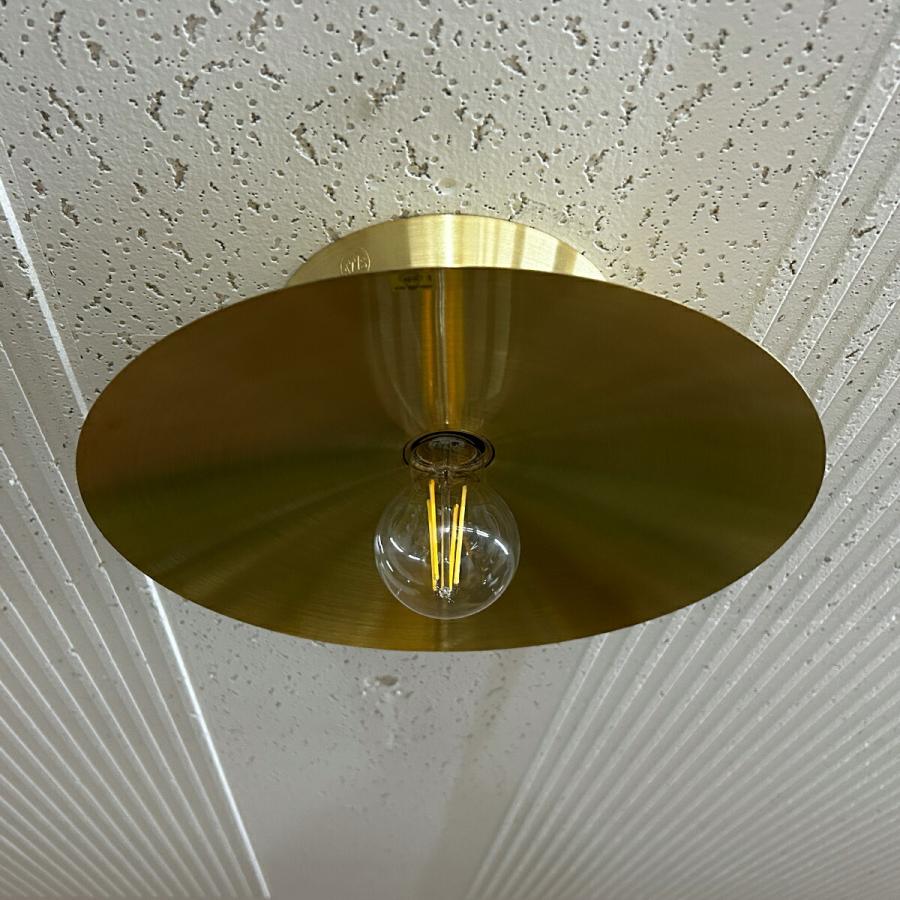 ARTWORKSTUDIO（アートワークスタジオ） AW-0657 シーリングライト