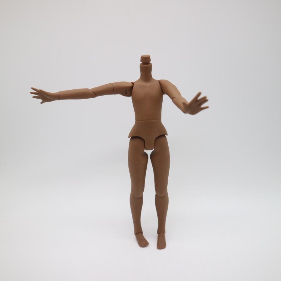 アイシードール ブライス 男の子 boy 可動ボディ 1/6ドール カスタム