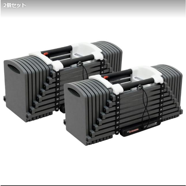 パワーブロック ダンベル 可変式 42kg 2個セット 24段階調節 : 小路