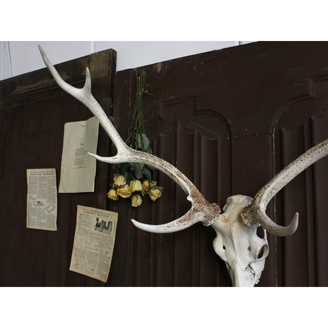 ウォールオブジェ アンティーク ビンテージ スカル オブジェ 鹿 鹿角