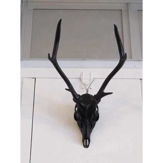 ウォールオブジェ アンティーク ビンテージ スカル オブジェ 鹿 鹿角