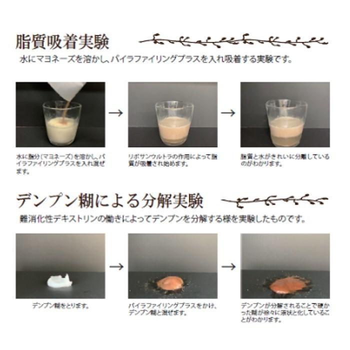 PYR FILING PLUS パイラ ファイリング プラス 45包入り【3箱セット