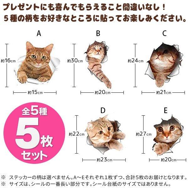 送料無料 ねこ ステッカー 壁からネコが飛び出す 猫 ウォール