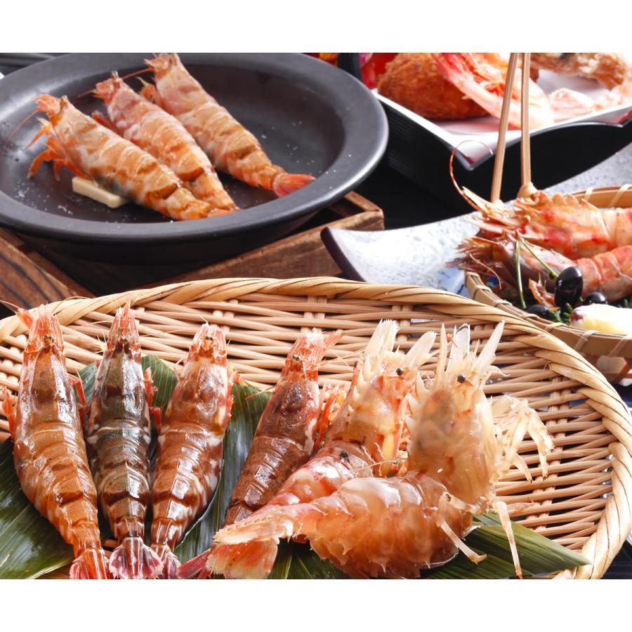 おにえび（冷凍）サイズ混ざり（約140g）（お刺身可）（浜坂産）幻の