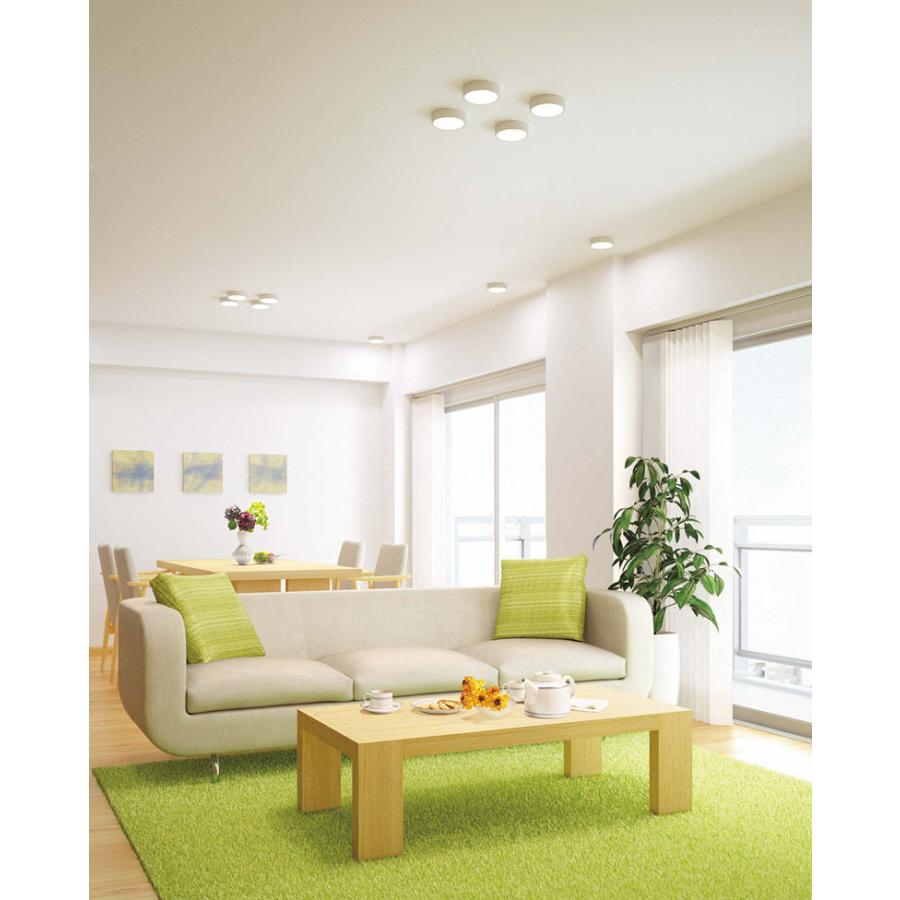 ODELIC（オーデリック） OL251359R 在庫品 シーリングダウンライト LED