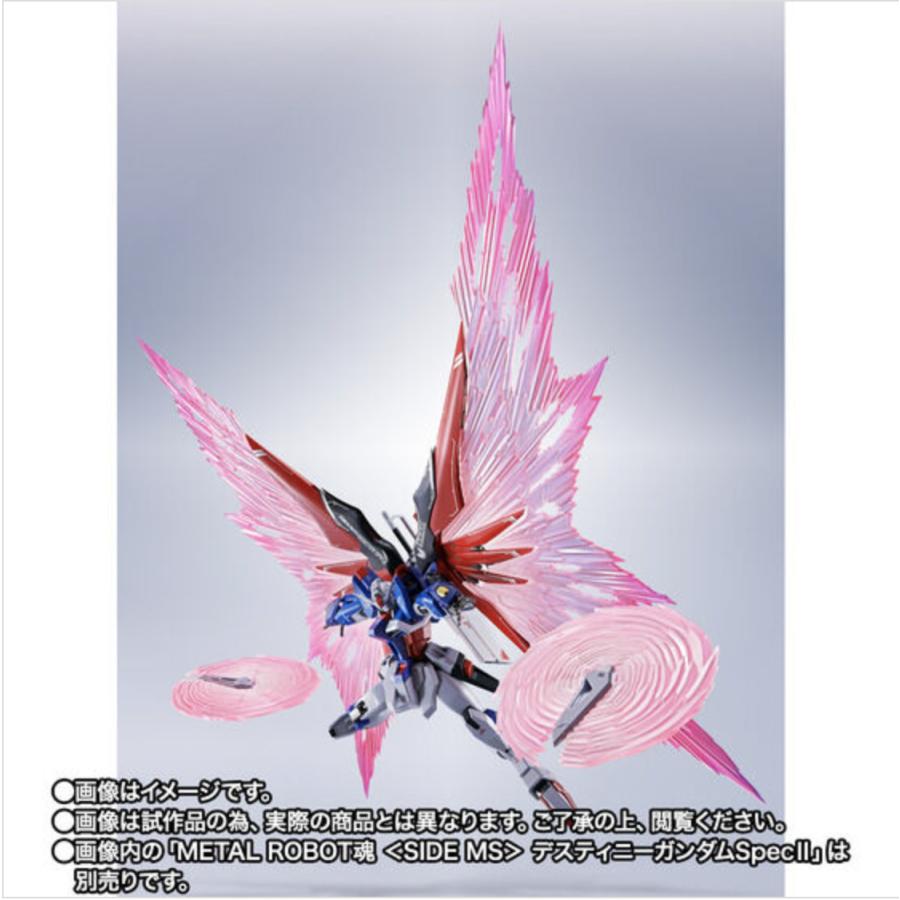 在庫品】METAL ROBOT魂 デスティニーガンダムSpecII専用光の翼